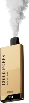 Sikary Fit Disposable Vape product image 03